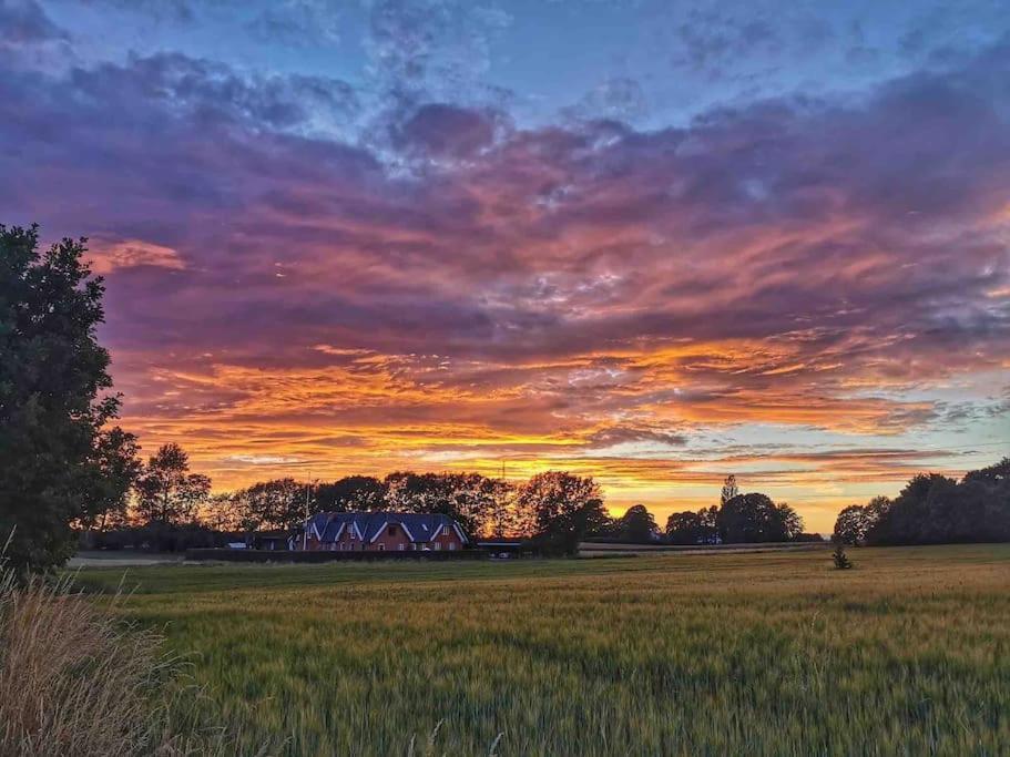 Apartmán Kongsholmlund. Enjoy The Countryside. Vejby Exteriér fotografie