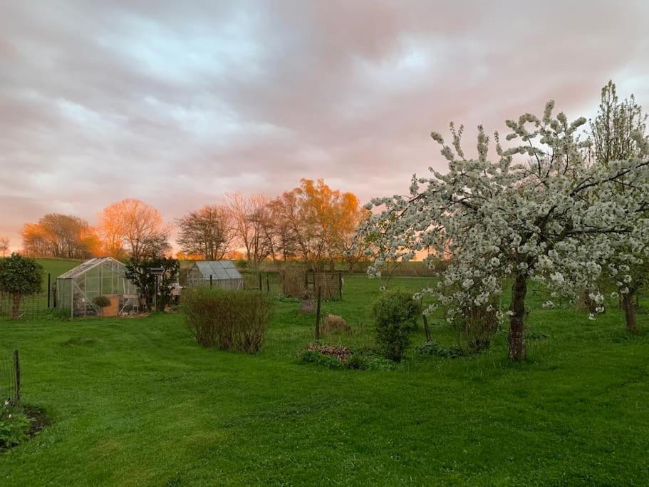 Apartmán Kongsholmlund. Enjoy The Countryside. Vejby Exteriér fotografie